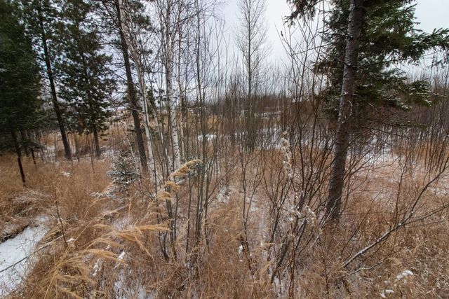 садово-огородническое товарищество Учитель-3, городской округ Ханты-Мансийск фото