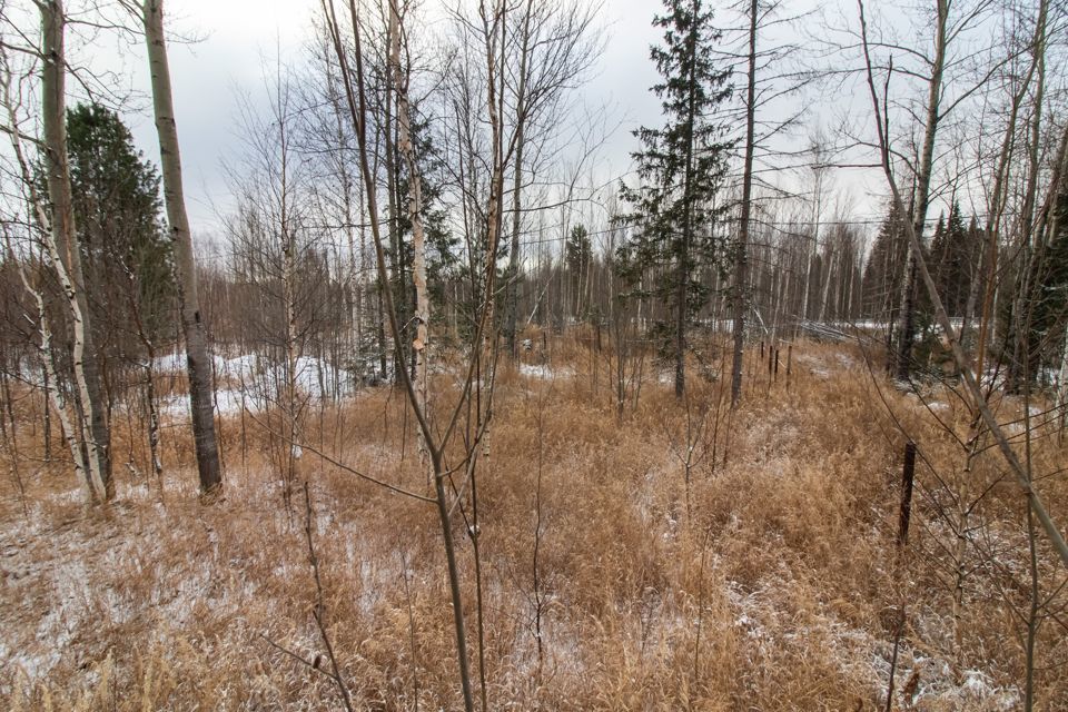 земля г Ханты-Мансийск садово-огородническое товарищество Учитель-3, городской округ Ханты-Мансийск фото 3