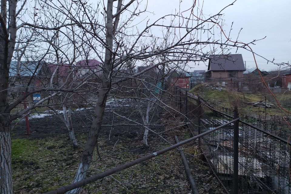 земля г Барнаул снт Трансмаш муниципальное образование Барнаул, 40 фото 1