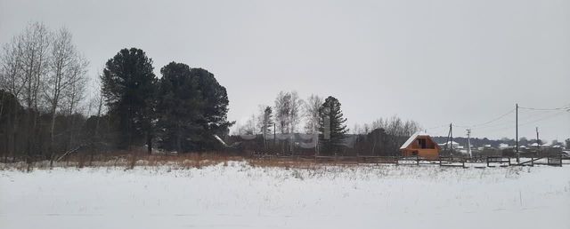 земля ул Березовая Богашёвское сельское поселение, Богашево фото