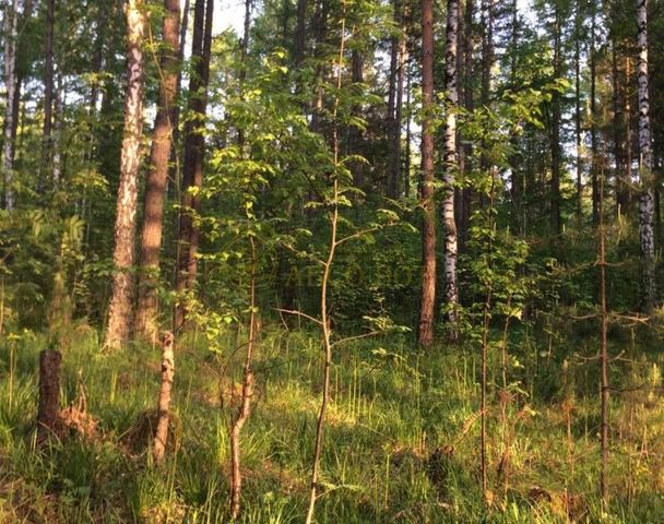 городской округ Дегтярск, Дегтярск фото