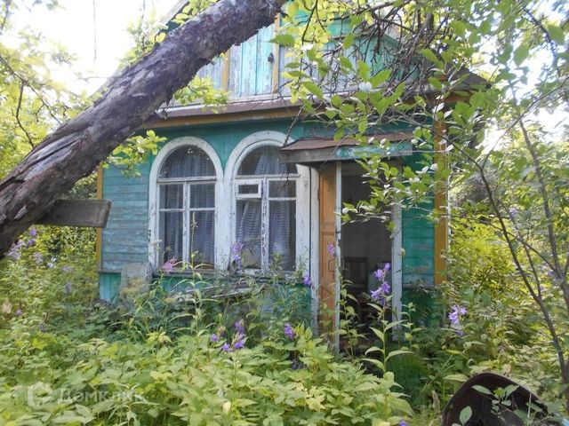 городской округ Тверь, садоводческое некоммерческое товарищество Химик фото