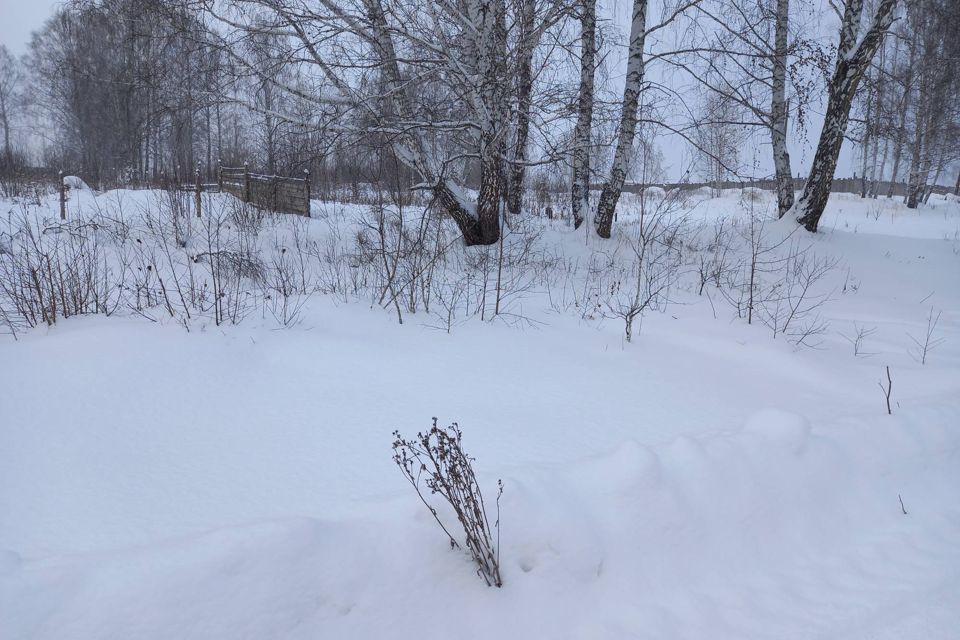 земля г Дегтярск ул Попова 12 городской округ Дегтярск фото 3