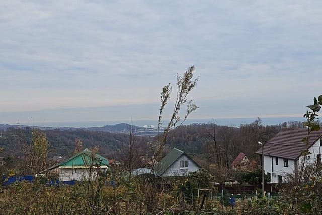 земля городской округ Сочи, СТ Черноморец фото