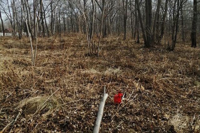 Артёмовский городской округ, Серебряная улица, 15 фото