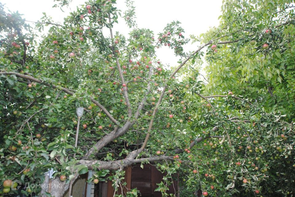 земля г Саратов ул Мало-Елшанская 7 городской округ Саратов фото 3