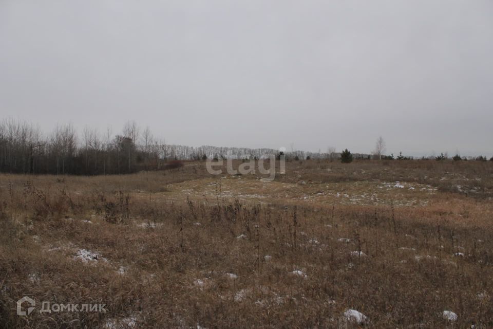 земля г Бердск городской округ Бердск, микрорайон Раздольный фото 4