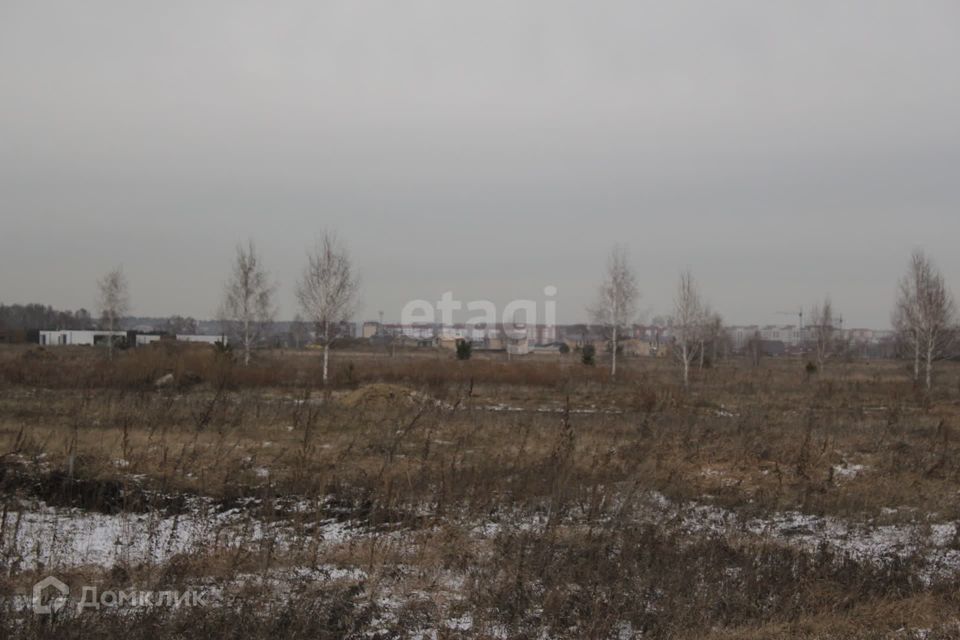 земля г Бердск городской округ Бердск, микрорайон Раздольный фото 5