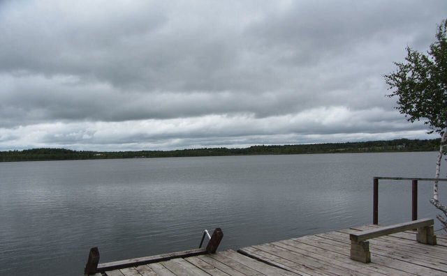 некоммерческое товарищество Заповедное озеро, Переславль-Залесский фото