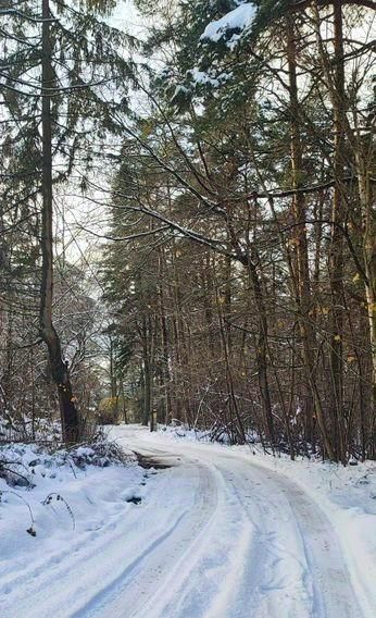 квартира р-н Светлогорский г Светлогорск ул Майская 17 фото 50