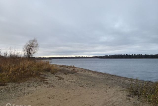 деревня Кученёво фото