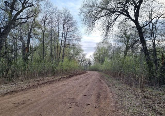 Сухореченский сельсовет, Бузулук фото