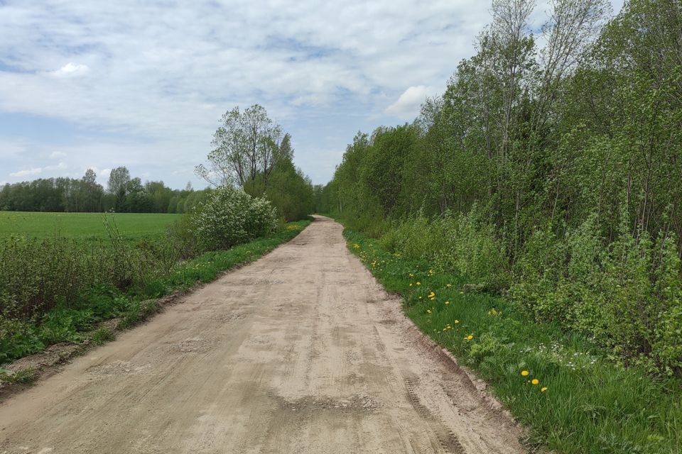 земля р-н Вологодский деревня Новое Сосновский сельсовет фото 10