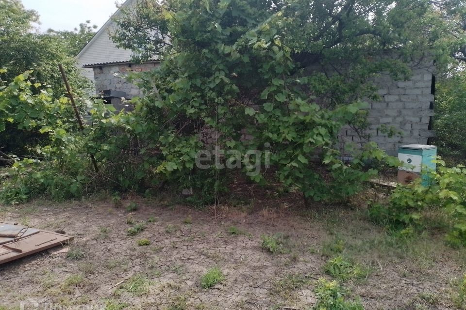земля р-н Ейский г Ейск ул Ленинградская фото 5
