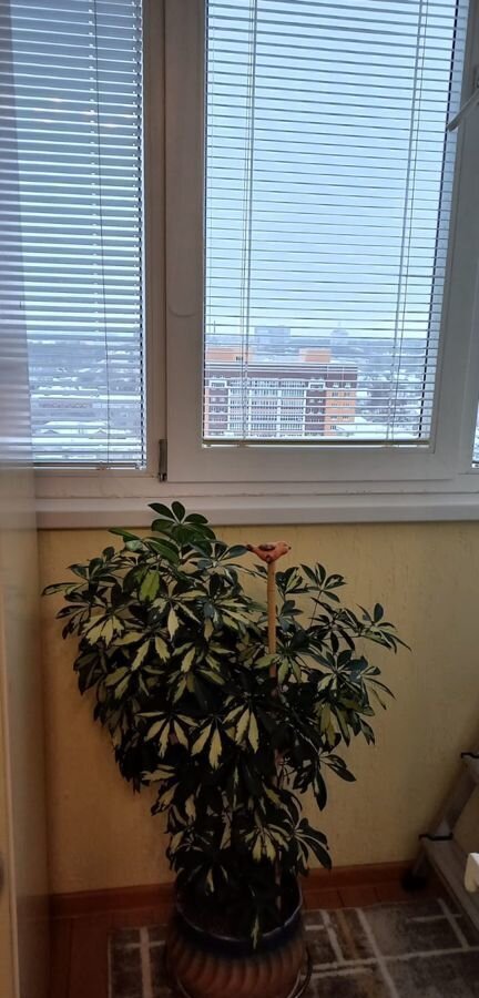 квартира г Брянск р-н Советский пер 2-й Советский 7а фото 4