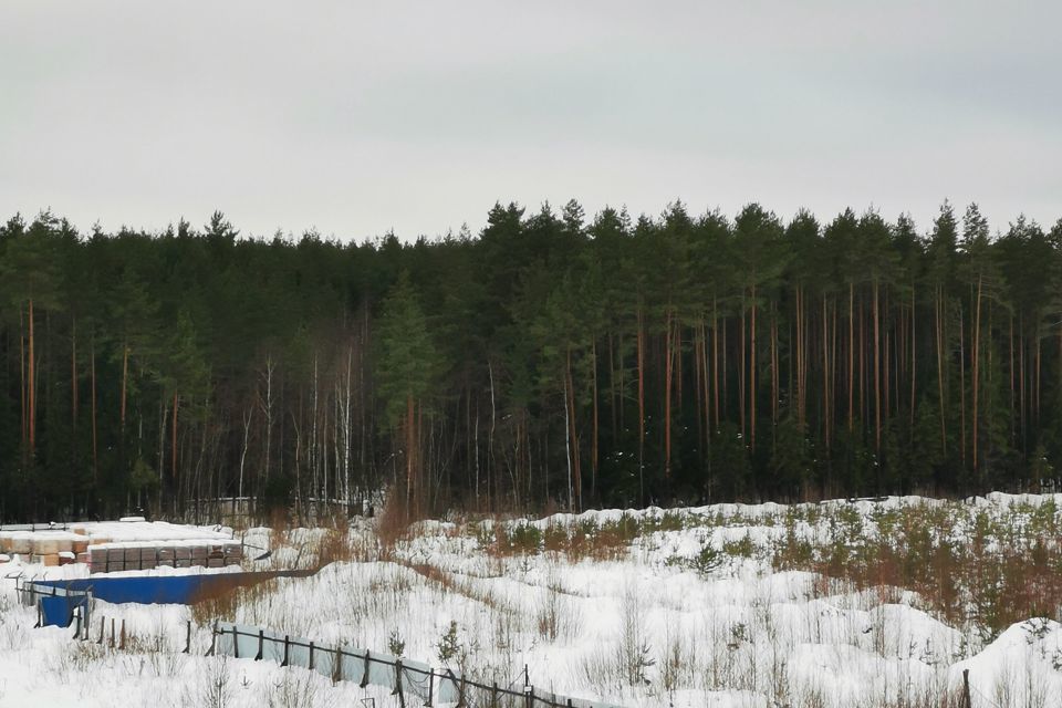 квартира р-н Всеволожский г Всеволожск ш Дорога Жизни 7к/2 фото 7