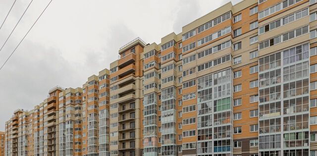 ЖК ЦДС «Новое Янино» фото 1