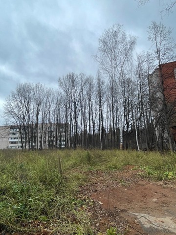 Дом Природы фото 2